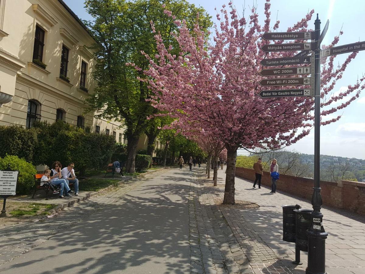 Budasmile Appartment At Buda Castle - Aircon & Free Parking بودابست المظهر الخارجي الصورة